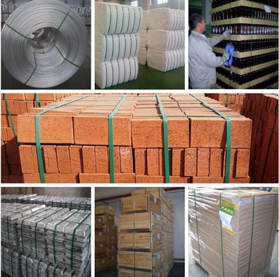 PET Strap Extrusion Line 380V/50Hz 0.4-1.2mm Thickness