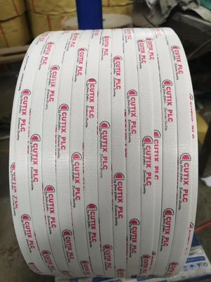 Electric Driven PP Strap Band Extrusion Line PP Packing Strap Making Machine High Automation PP Strap Production Line